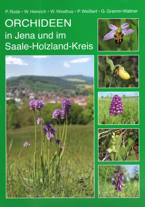 Orchideen in Jena und im Saale-Holzland-Kreis von Gramm-Wallner,  Gerhard, Heinrich,  Wolfgang, Rode,  Peter, Weißert,  Peter, Westhus,  Werner