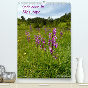 Orchideen in Südeuropa (Premium, hochwertiger DIN A2 Wandkalender 2022, Kunstdruck in Hochglanz) von Trapp,  Benny