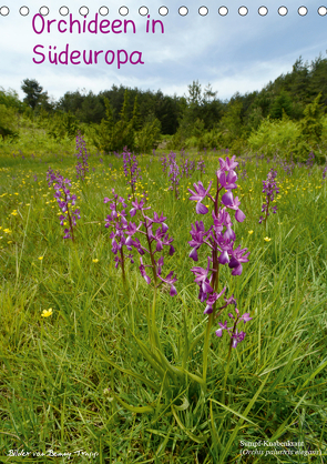 Orchideen in Südeuropa (Tischkalender 2021 DIN A5 hoch) von Trapp,  Benny