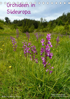 Orchideen in Südeuropa (Tischkalender 2022 DIN A5 hoch) von Trapp,  Benny