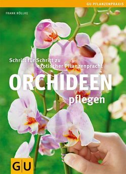 Orchideenpflege