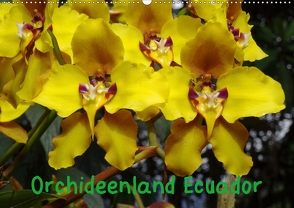 Orchideenland Ecuador (Wandkalender 2021 DIN A2 quer) von Kettler,  Klaus