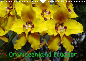 Orchideenland Ecuador (Wandkalender 2021 DIN A4 quer) von Kettler,  Klaus