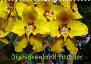 Orchideenland Ecuador (Wandkalender 2022 DIN A2 quer) von Kettler,  Klaus