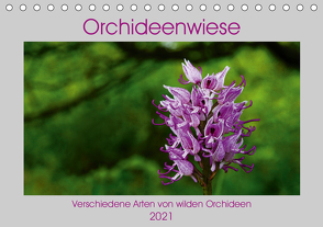 Orchideenwiese 2021 (Tischkalender 2021 DIN A5 quer) von Sura,  Jana