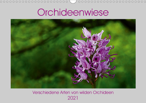 Orchideenwiese 2021 (Wandkalender 2021 DIN A3 quer) von Sura,  Jana