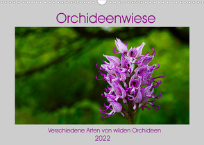 Orchideenwiese 2022 (Wandkalender 2022 DIN A3 quer) von Sura,  Jana