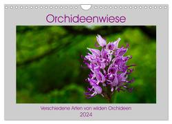 Orchideenwiese 2024 (Wandkalender 2024 DIN A4 quer), CALVENDO Monatskalender von Sura,  Jana