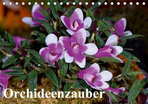 Orchideenzauber (Tischkalender 2020 DIN A5 quer) von Schulz,  Eerika