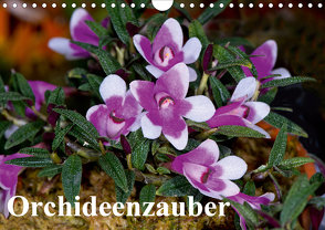 Orchideenzauber (Wandkalender 2020 DIN A4 quer) von Schulz,  Eerika