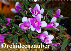 Orchideenzauber (Wandkalender 2023 DIN A3 quer) von Schulz,  Eerika