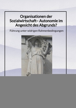 Organisationen der Sozialwirtschaft– Autonomie im Angesicht des Abgrunds? von Sacco,  Sylvia