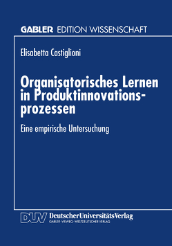 Organisatorisches Lernen in Produktinnovationsprozessen von Castiglioni,  Elisabetta