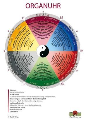 Organuhr Schaubild DIN A2 von Loh,  Nirgun W., Sievers,  Sakina K.