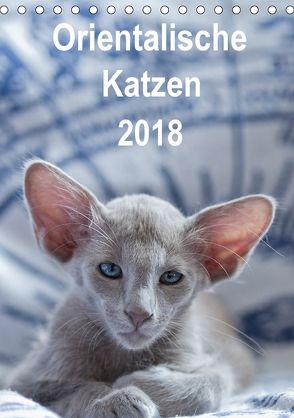 Orientalische Katzen 2018 (Tischkalender 2018 DIN A5 hoch) von Bollich,  Heidi