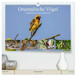 Orientalische Vögel – Thailands bunte Vogelwelt (hochwertiger Premium Wandkalender 2024 DIN A2 quer), Kunstdruck in Hochglanz von Wünsche,  Arne