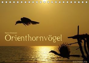 Orienthornvögel (Tischkalender 2019 DIN A5 quer) von Schumann,  Bianca