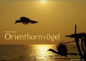 Orienthornvögel (Wandkalender 2019 DIN A2 quer) von Schumann,  Bianca