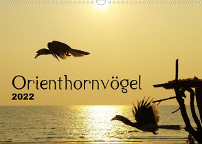 Orienthornvögel (Wandkalender 2022 DIN A3 quer) von Schumann,  Bianca