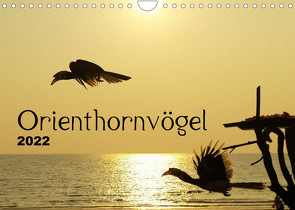 Orienthornvögel (Wandkalender 2022 DIN A4 quer) von Schumann,  Bianca