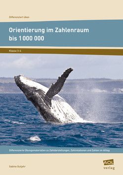 Orientierung im Zahlenraum bis 1 000 000 von Gutjahr,  Sabine