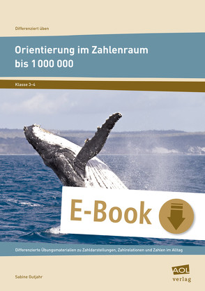 Orientierung im Zahlenraum bis 1 000 000 von Gutjahr,  Sabine