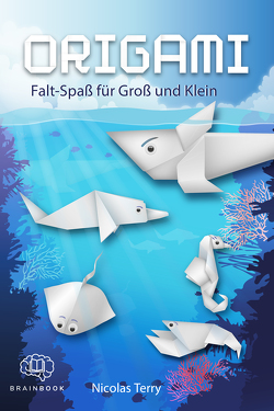 Origami Falt-Spaß für Groß und Klein von Nicolas,  Terry