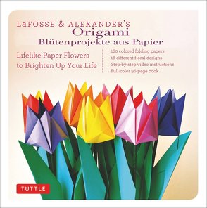 Origami von LaFosse,  Michael G.