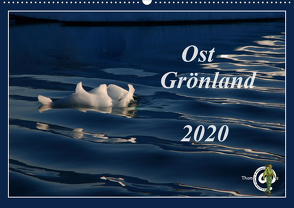 Ost-Grönland (Wandkalender 2020 DIN A2 quer) von Thom@sPhotography