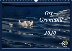 Ost-Grönland (Wandkalender 2020 DIN A3 quer) von Thom@sPhotography