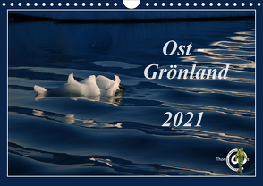 Ost-Grönland (Wandkalender 2021 DIN A4 quer) von Thom@sPhotography