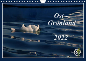 Ost-Grönland (Wandkalender 2022 DIN A4 quer) von Thom@sPhotography