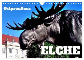 Ostpreußens Elche (Wandkalender 2024 DIN A4 quer), CALVENDO Monatskalender von von Loewis of Menar,  Henning