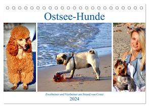 Ostsee-Hunde – Zweibeiner und Vierbeiner am Strand von Cranz (Tischkalender 2024 DIN A5 quer), CALVENDO Monatskalender von von Loewis of Menar,  Henning