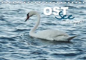 Ostsee – Urlaubsgefühl (Tischkalender 2022 DIN A5 quer) von wernersstyle.de