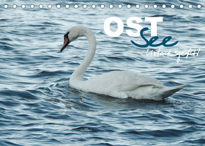 Ostsee – Urlaubsgefühl (Tischkalender 2023 DIN A5 quer) von wernersstyle.de