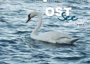 Ostsee – Urlaubsgefühl (Wandkalender 2022 DIN A3 quer) von wernersstyle.de