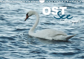 Ostsee – Urlaubsgefühl (Wandkalender 2022 DIN A4 quer) von wernersstyle.de