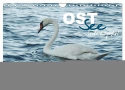 Ostsee – Urlaubsgefühl (Wandkalender 2024 DIN A4 quer), CALVENDO Monatskalender von wernersstyle.de,  wernersstyle.de