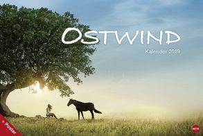 Ostwind Broschur XL – Kalender 2019 von Heye