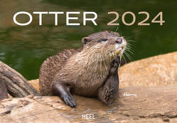 Otter Eintragkalender 2024