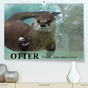 Otter. Frech, laut und clever (Premium, hochwertiger DIN A2 Wandkalender 2023, Kunstdruck in Hochglanz) von Stanzer,  Elisabeth