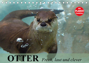 Otter. Frech, laut und clever (Tischkalender 2023 DIN A5 quer) von Stanzer,  Elisabeth