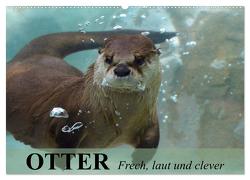 Otter. Frech, laut und clever (Wandkalender 2024 DIN A2 quer), CALVENDO Monatskalender von Stanzer,  Elisabeth