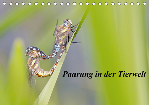 Paarung in der Tierwelt (Tischkalender 2021 DIN A5 quer) von Martin,  Wilfried