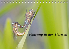 Paarung in der Tierwelt (Tischkalender 2022 DIN A5 quer) von Martin,  Wilfried