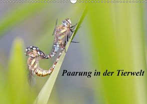 Paarung in der Tierwelt (Wandkalender 2019 DIN A3 quer) von Martin,  Wilfried