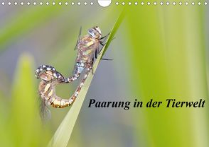 Paarung in der Tierwelt (Wandkalender 2020 DIN A4 quer) von Martin,  Wilfried