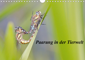 Paarung in der Tierwelt (Wandkalender 2021 DIN A4 quer) von Martin,  Wilfried