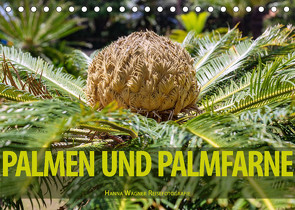 Palmen und Palmfarne (Tischkalender 2022 DIN A5 quer) von Wagner,  Hanna